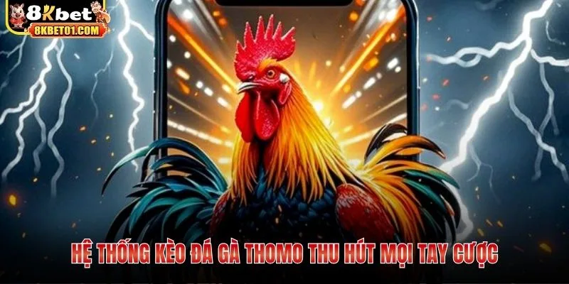 Hệ thống kèo đá gà Thomo thu hút mọi tay cược
